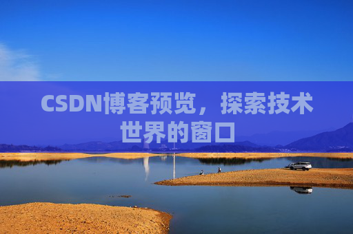 CSDN博客预览,探索技术世界的窗口